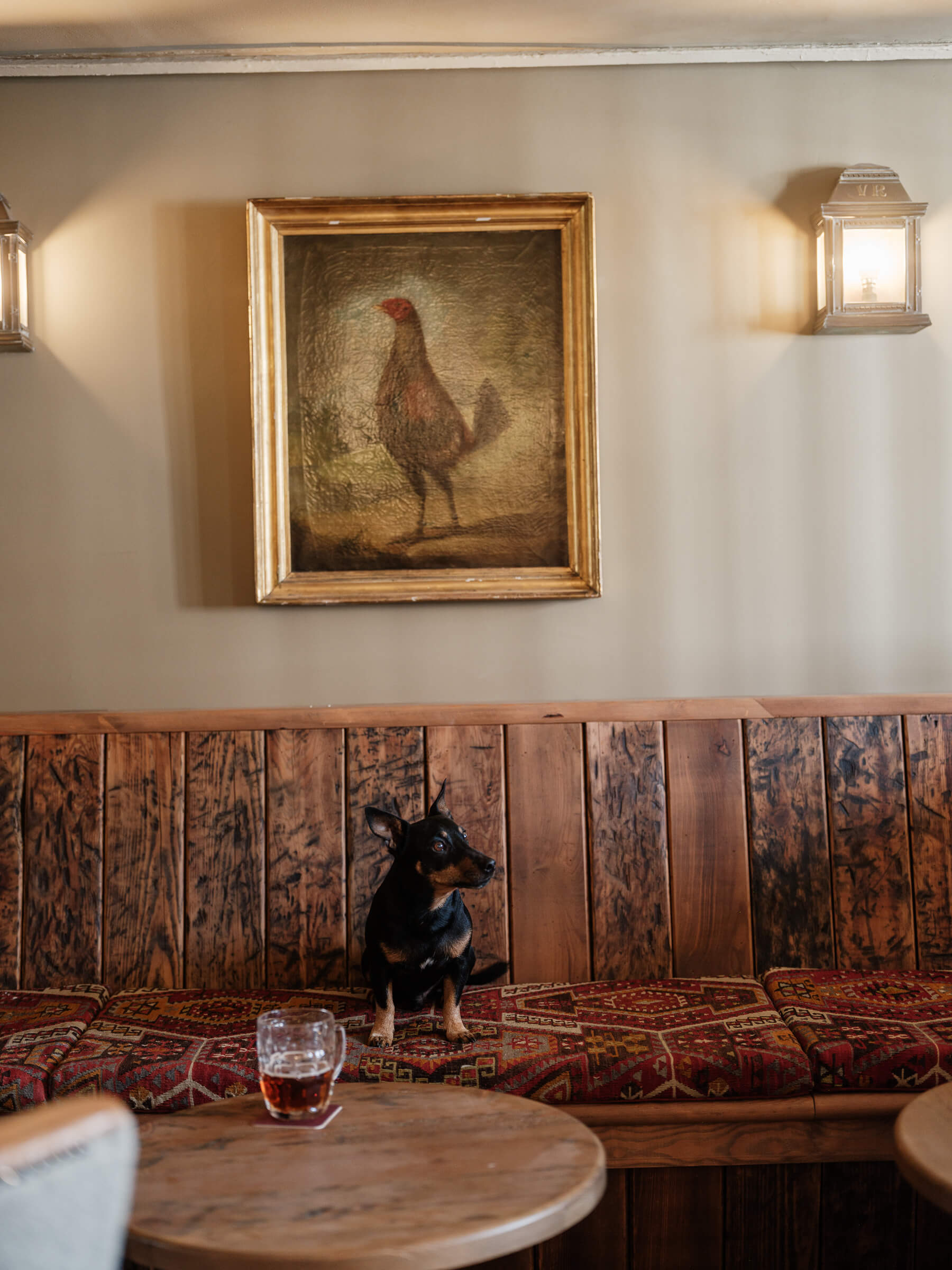 Pub interior with a painting and long bar seat, dog sitting underneath a painting of a chicken